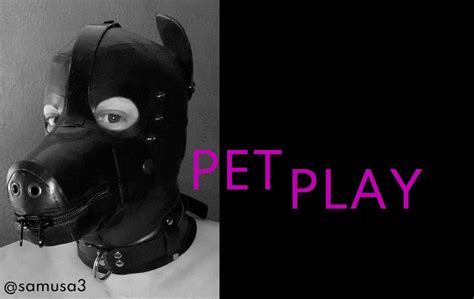 devote hündin|Devotes Petplay